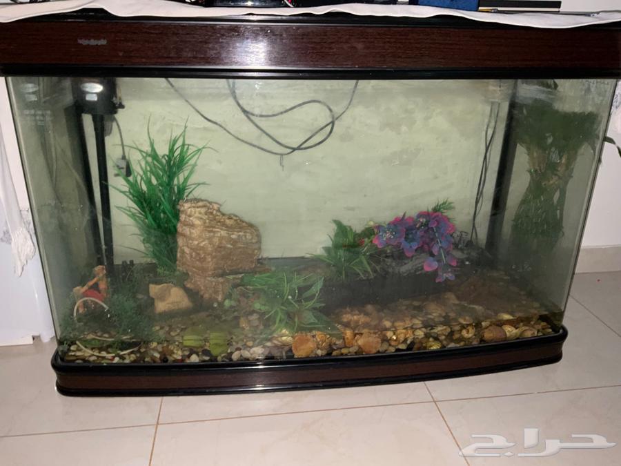 Indoor furniture for sale63070115535363114