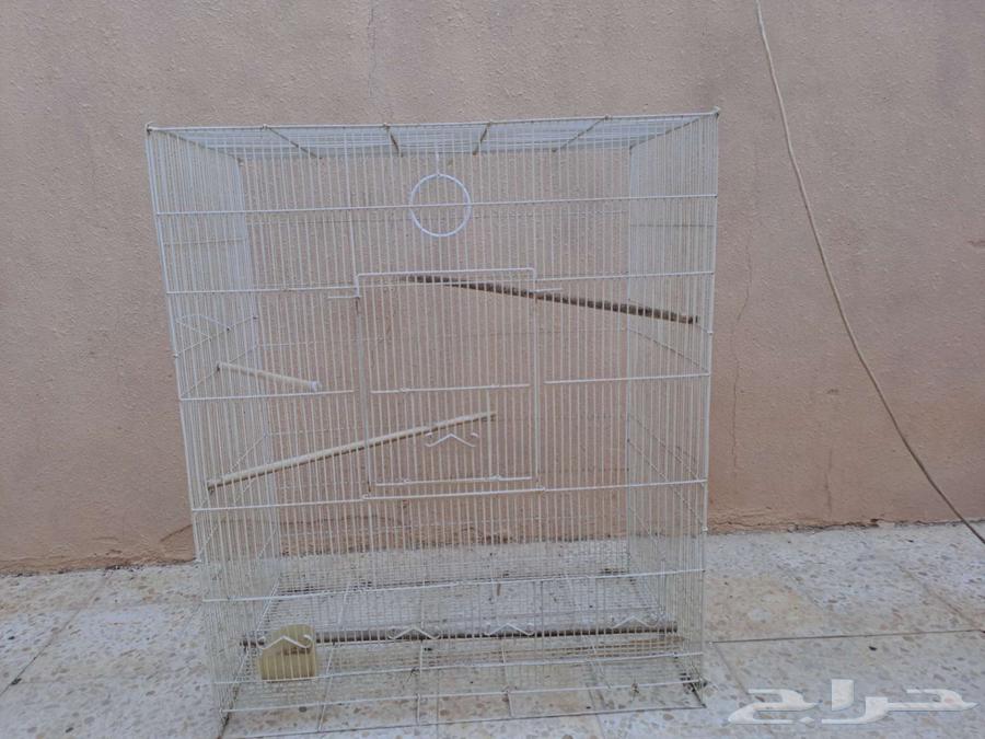 For sale, a large parrot cage in Buraidah63069262720770113