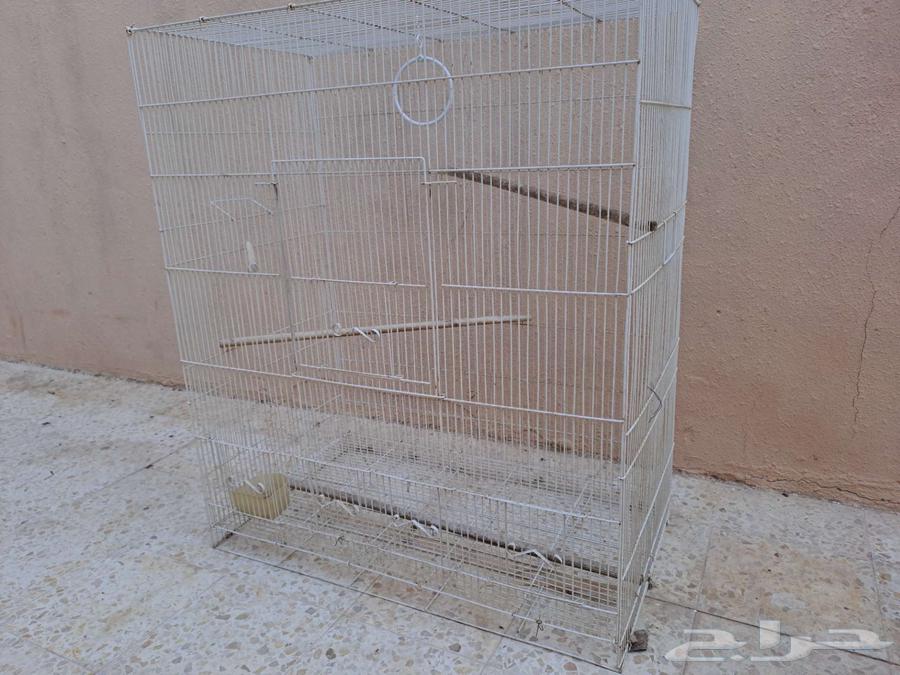 For sale, a large parrot cage in Buraidah63069262720770111