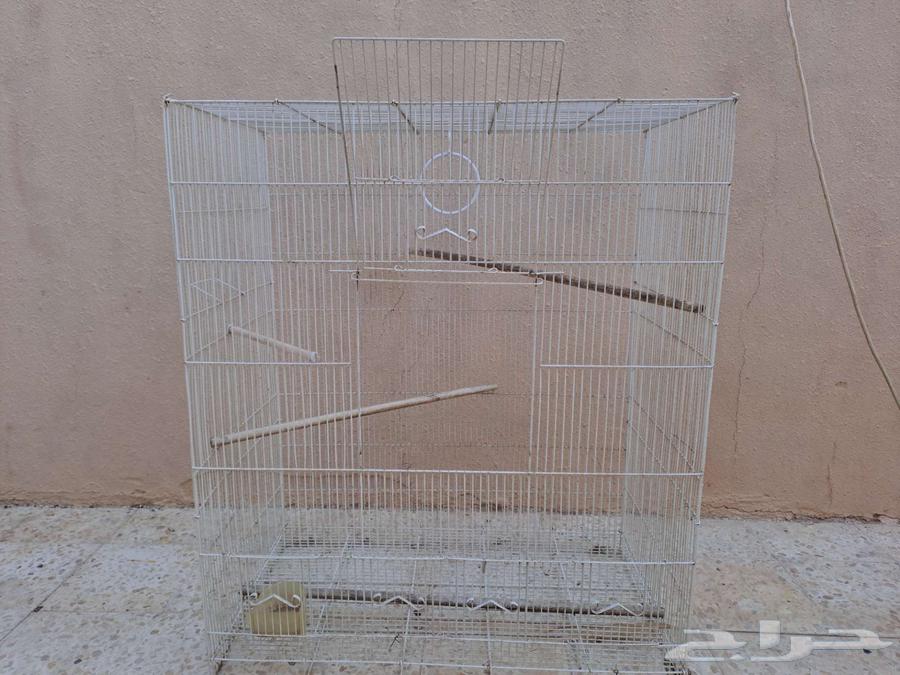For sale, a large parrot cage in Buraidah63069262720770112