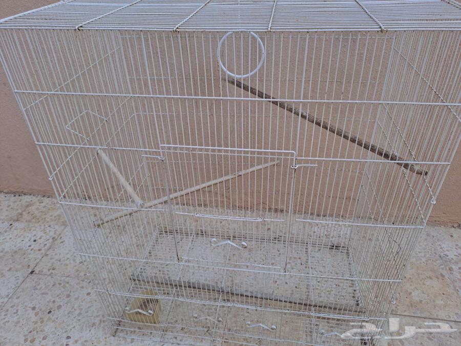 For sale, a large parrot cage in Buraidah63069262720770114