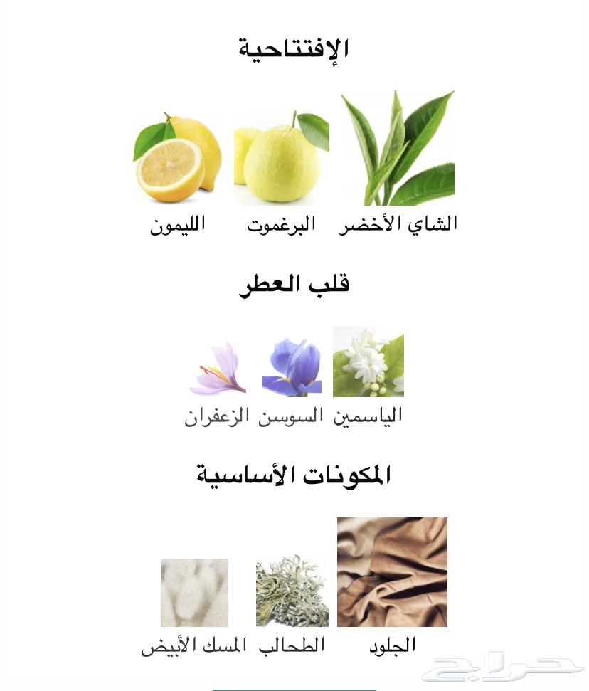 Mimo, I love Mimo, the best summer perfume from Mimo63064402095747112