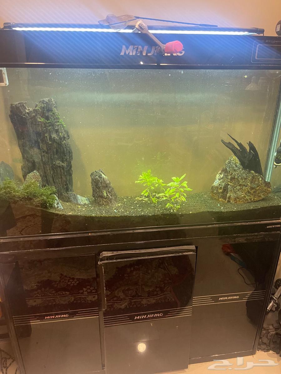 Fish tank equipped for aquaculture for sale63065214306435111
