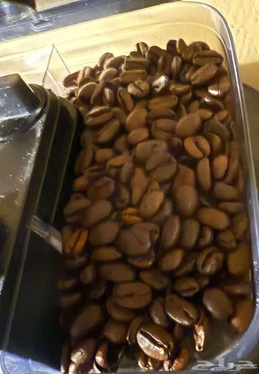 Grind   Brew آلة تحضير القهوة مع مطحنة63066802267779119