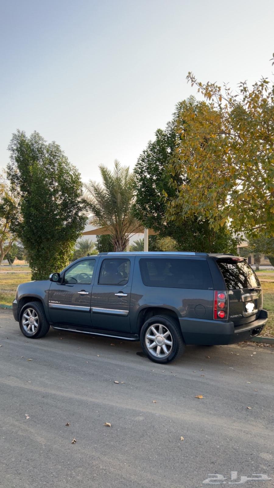 دينالي 200763097729193985113