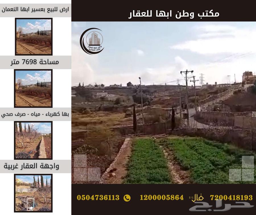 Agricultural land for sale in Asir Abha, Al-Naiman district, area 7698629296656678431128