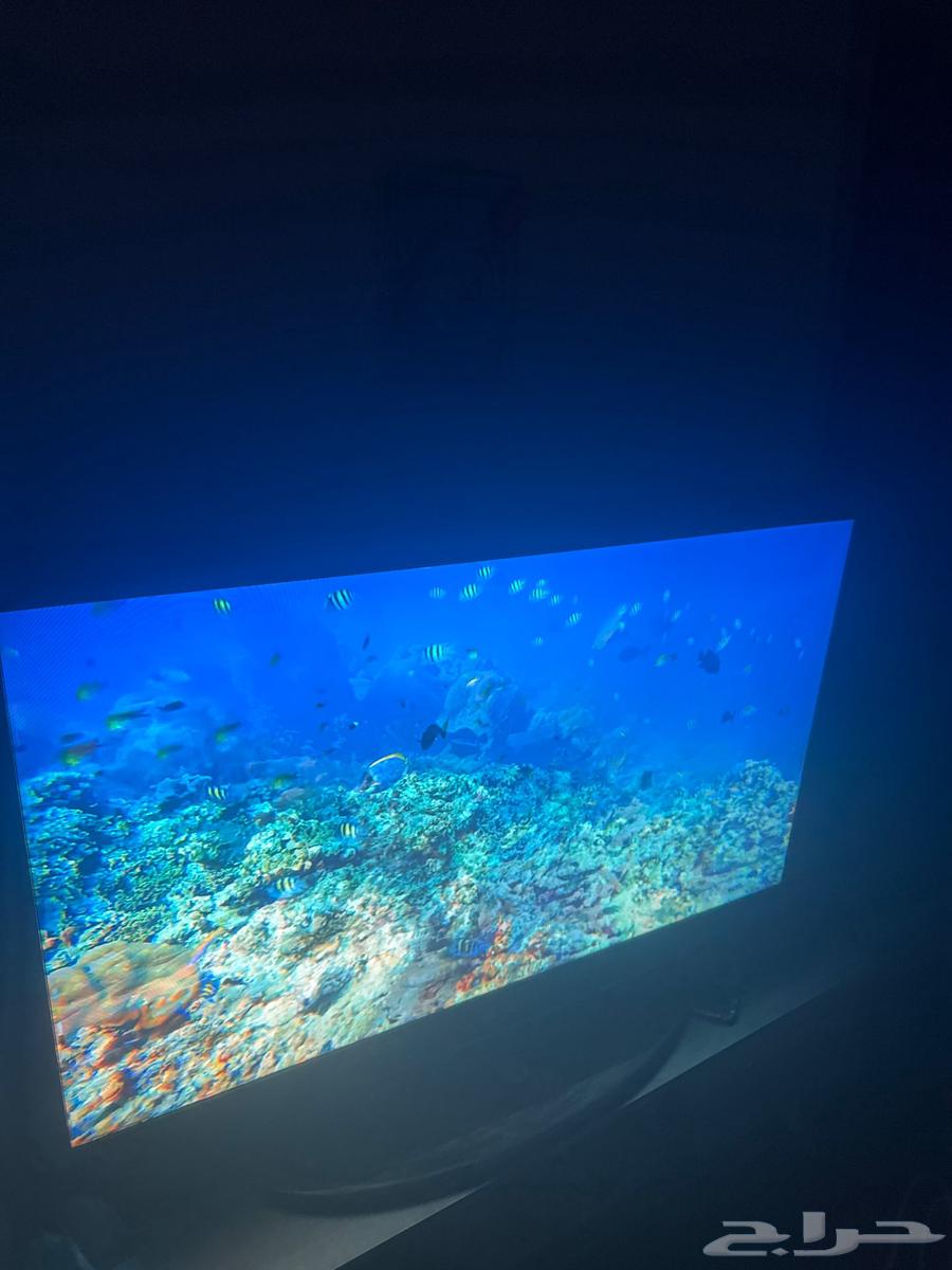 TV63064008356738111