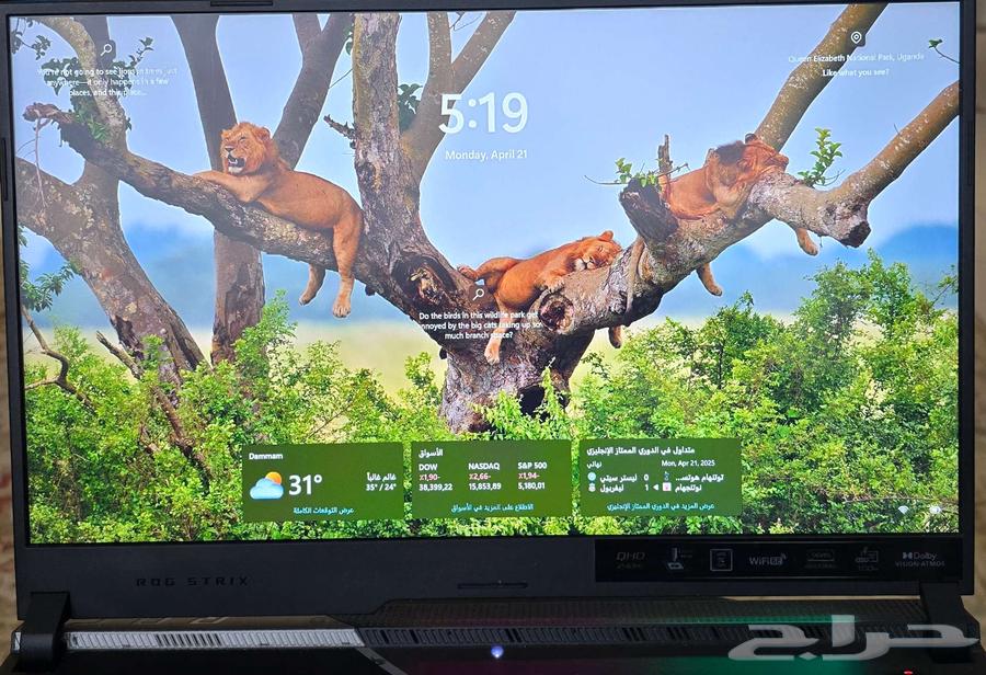 ASUS ROG Strix G733ZX63063673328258111