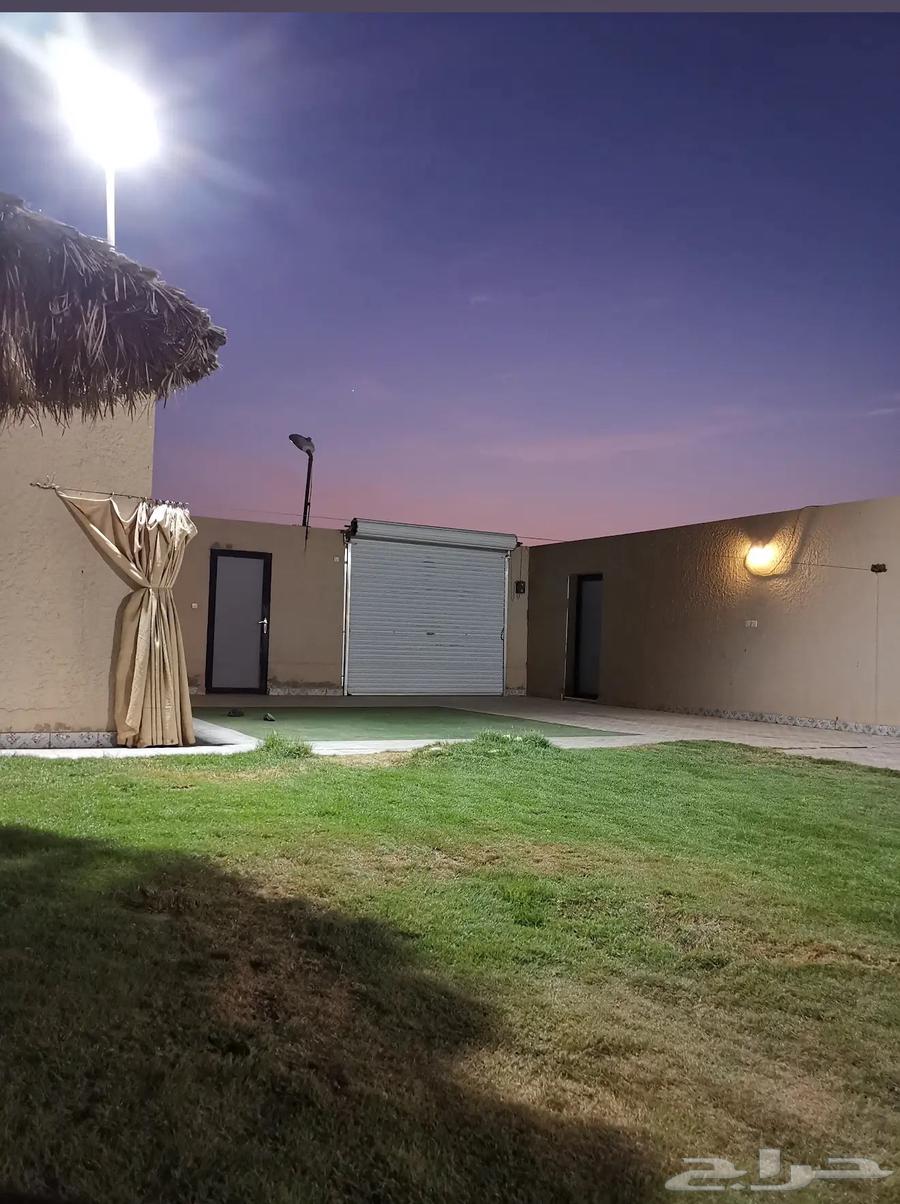 Cold basement villa for rent today63016509746305111