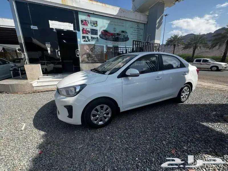 Kia Picanto 202463082102069762111