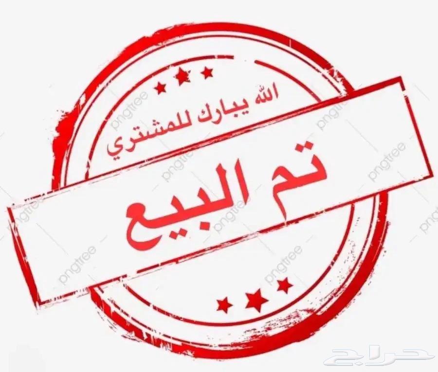 تم البيع فرخ كناري جاسب630883710135051120