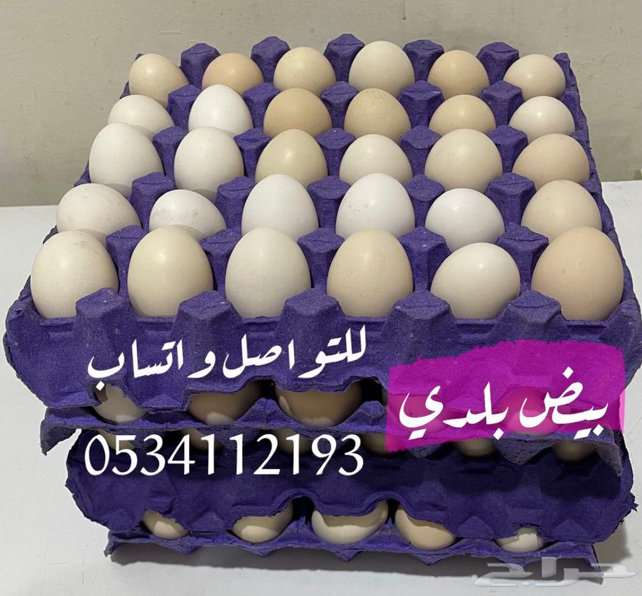 Local eggs for eating and fertile630544632627231121