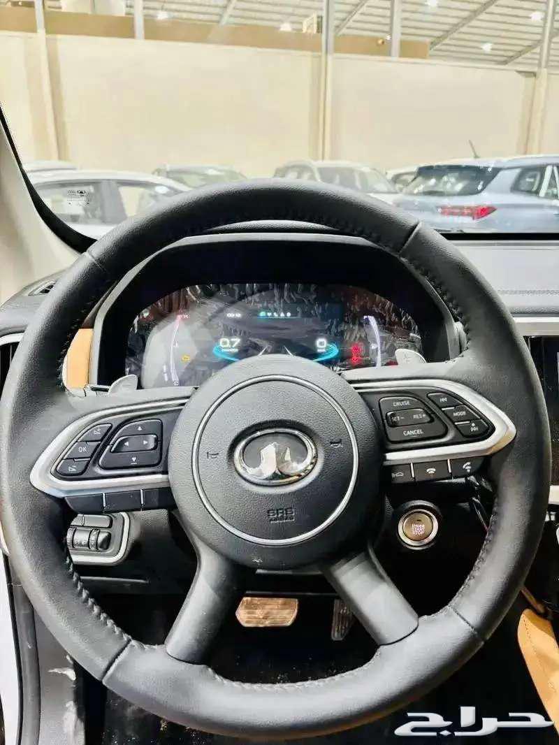 BAUR GAMRTIN DABL MODEL 202463069072458881111