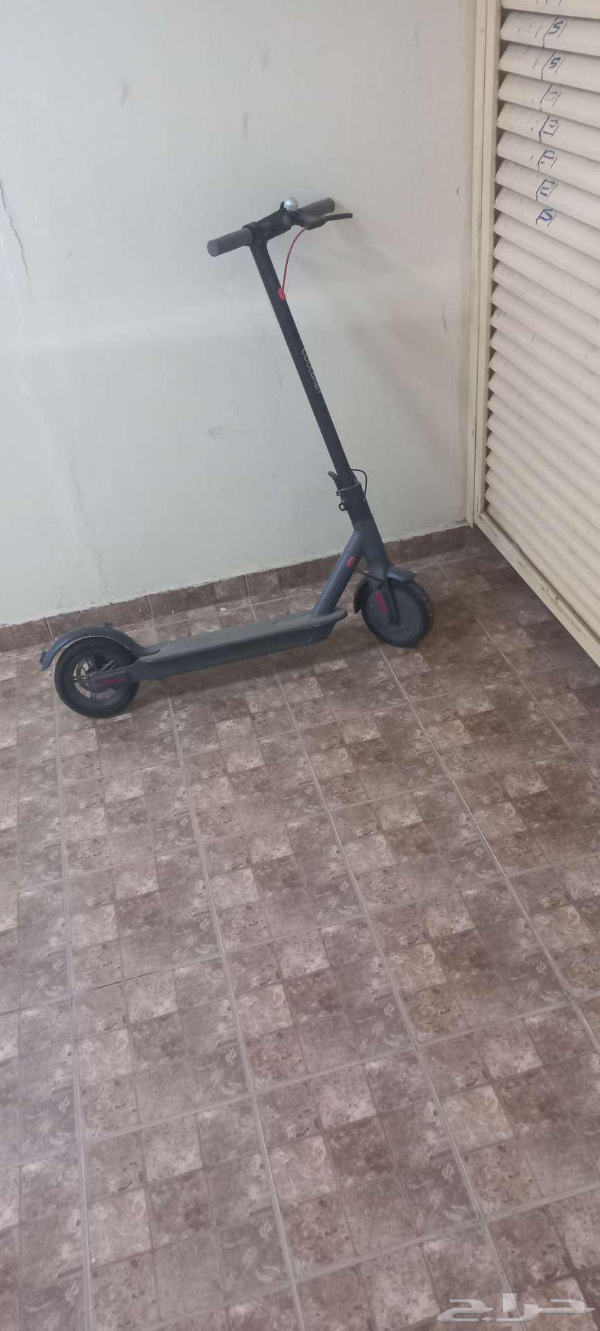 Scooter63049327679362115
