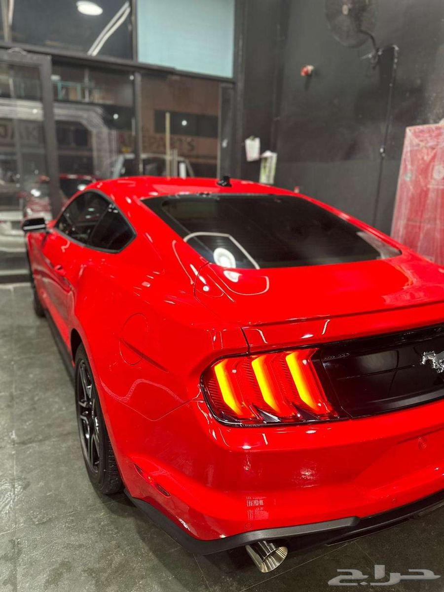 موستنج ايكوبوست بريميم630670284057611110