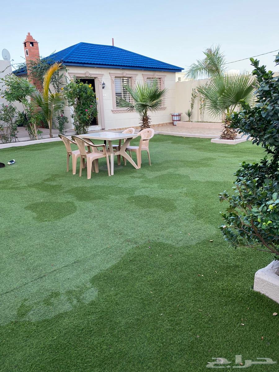 Rest area for rent in Al-Rehab63016086516353112