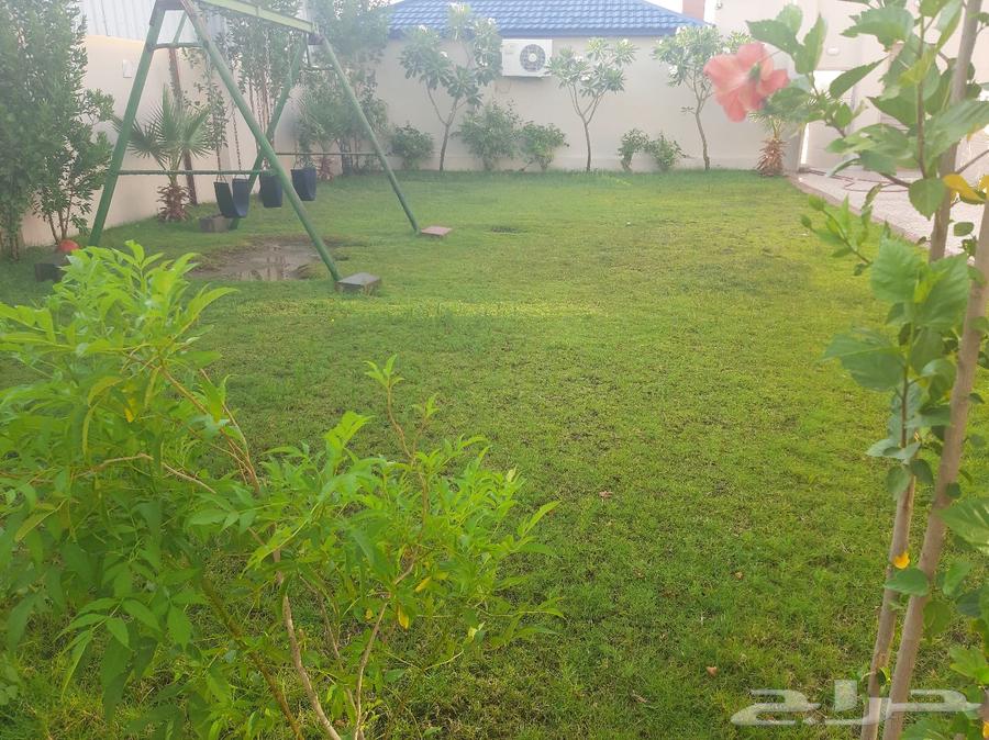 Rest area for rent in Al-Rehab63016086516353113