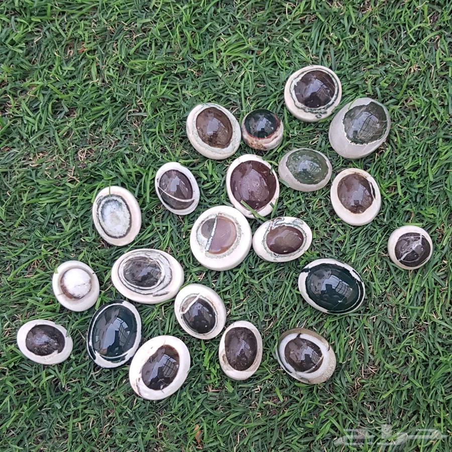 Yemeni agate stones, Brahim's horn630496871624971129