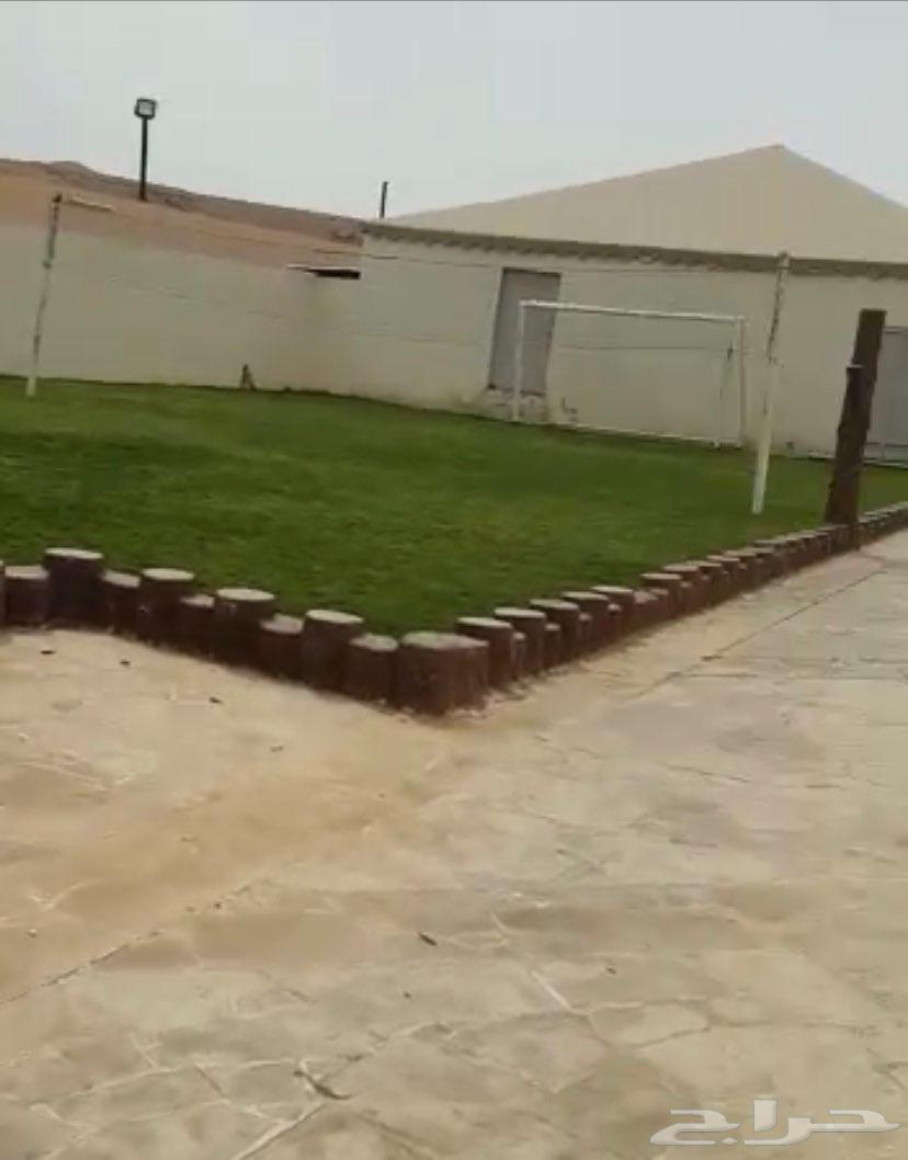 Rest house Al-Yasmin in Derab63013384969602112