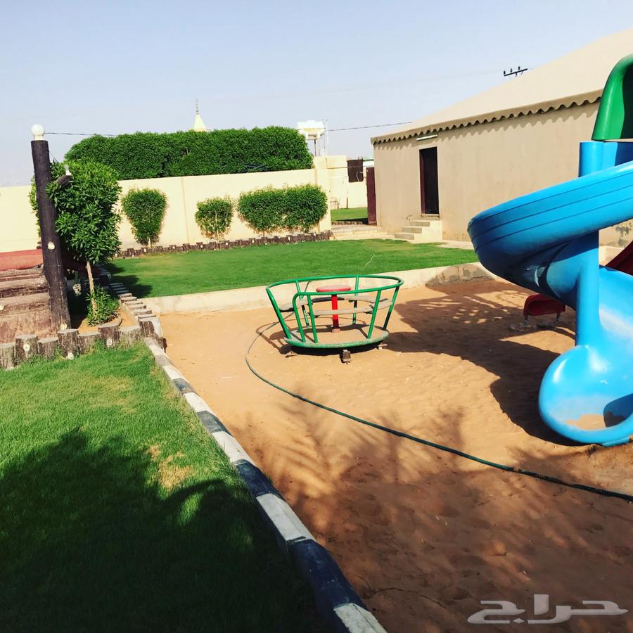 Rest house Al-Yasmin in Derab63013384969602114