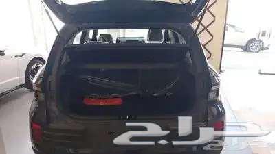 فينيو فل كامل 202463061654053763113