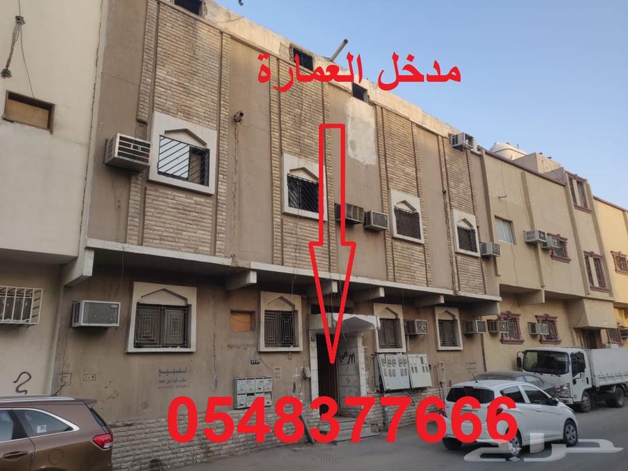 شقة للإيجار