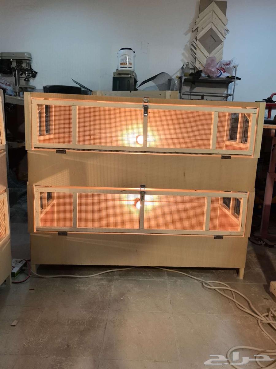 حظانة صوص إنتاج دواجن63025539107969117