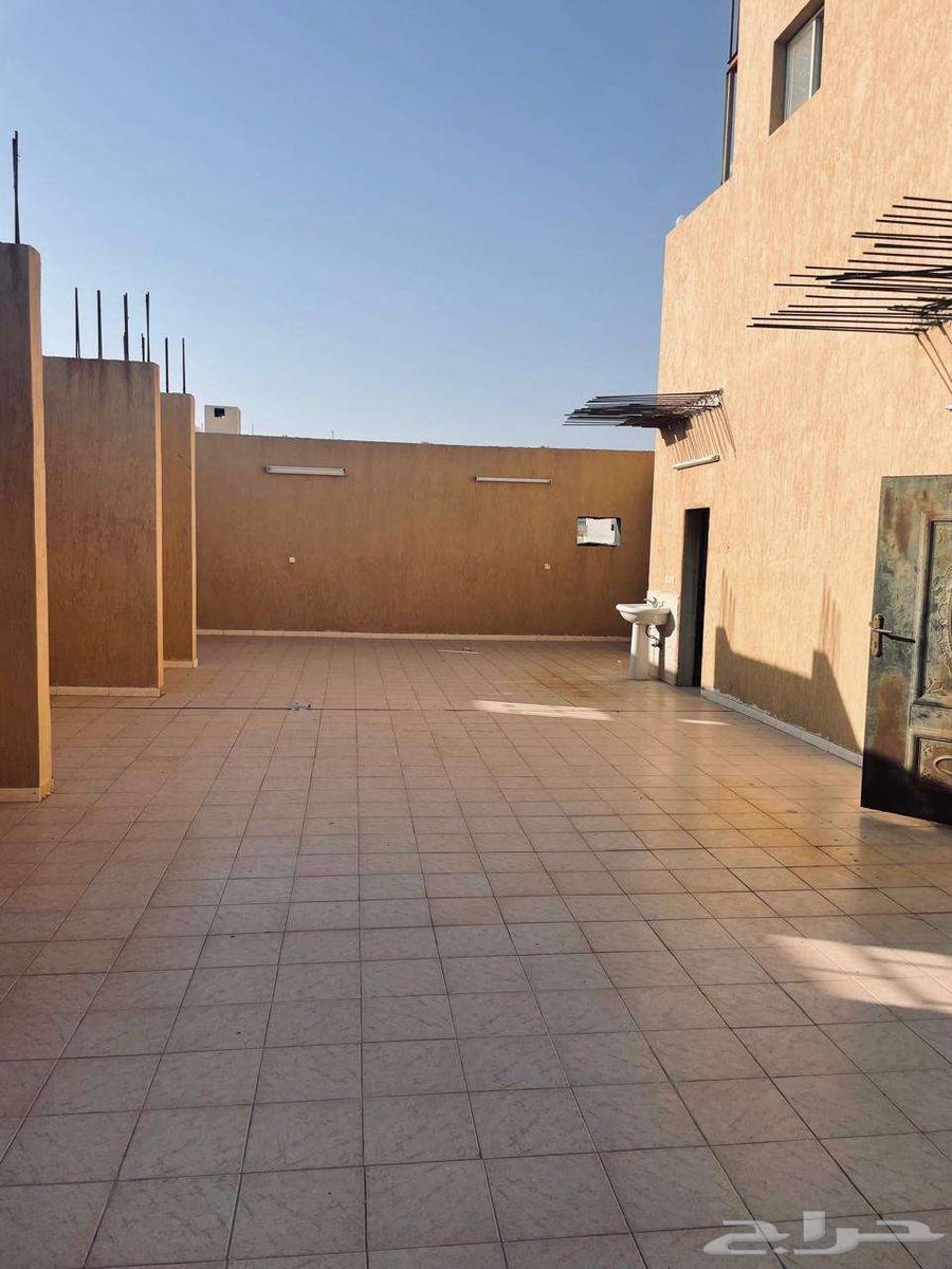 عمارة للبيع - حي النوارية63012027842305111