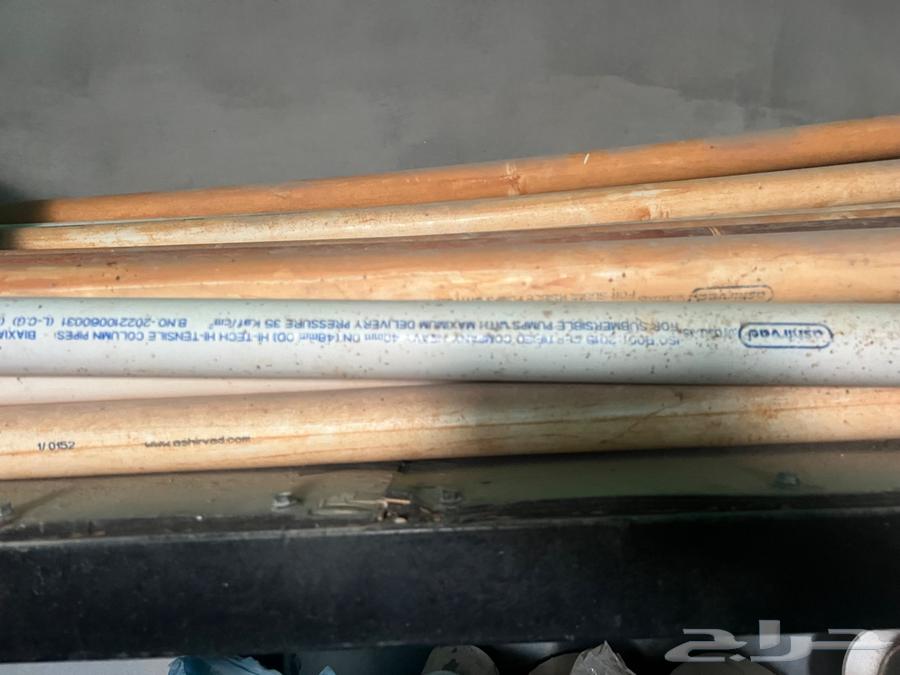 Indian cat 3 inches and half63027707296643111