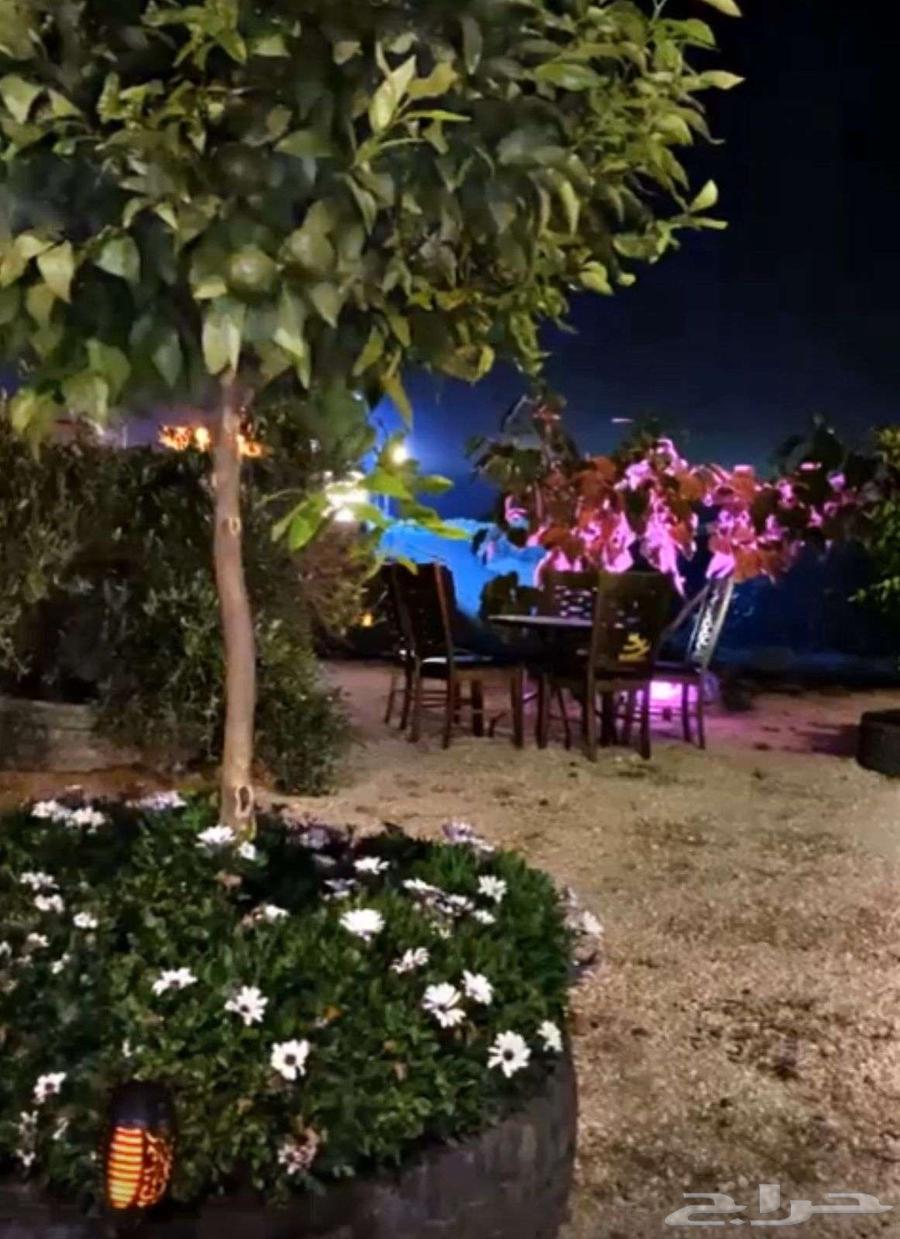 Land and farm for rent on the new Al-Mayah road (Merhaba road)63013828064001113