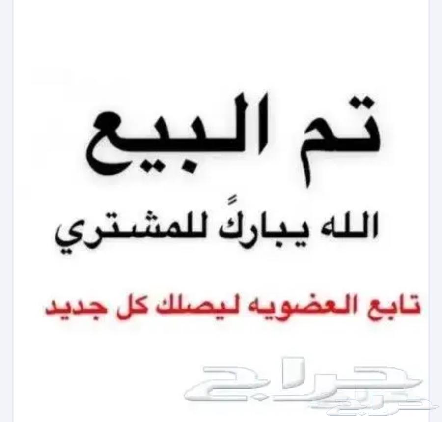 ستة أجواز لبناني631497955950091117