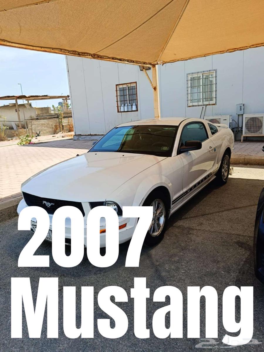 فورد موستنج 2007 للبيع63019129158657111