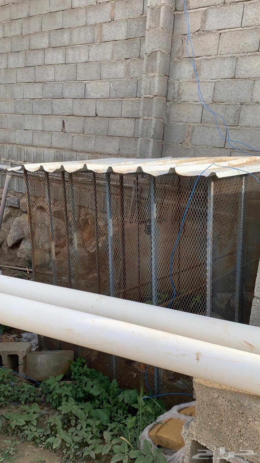 Clean chicken mesh for sale63018880050433112