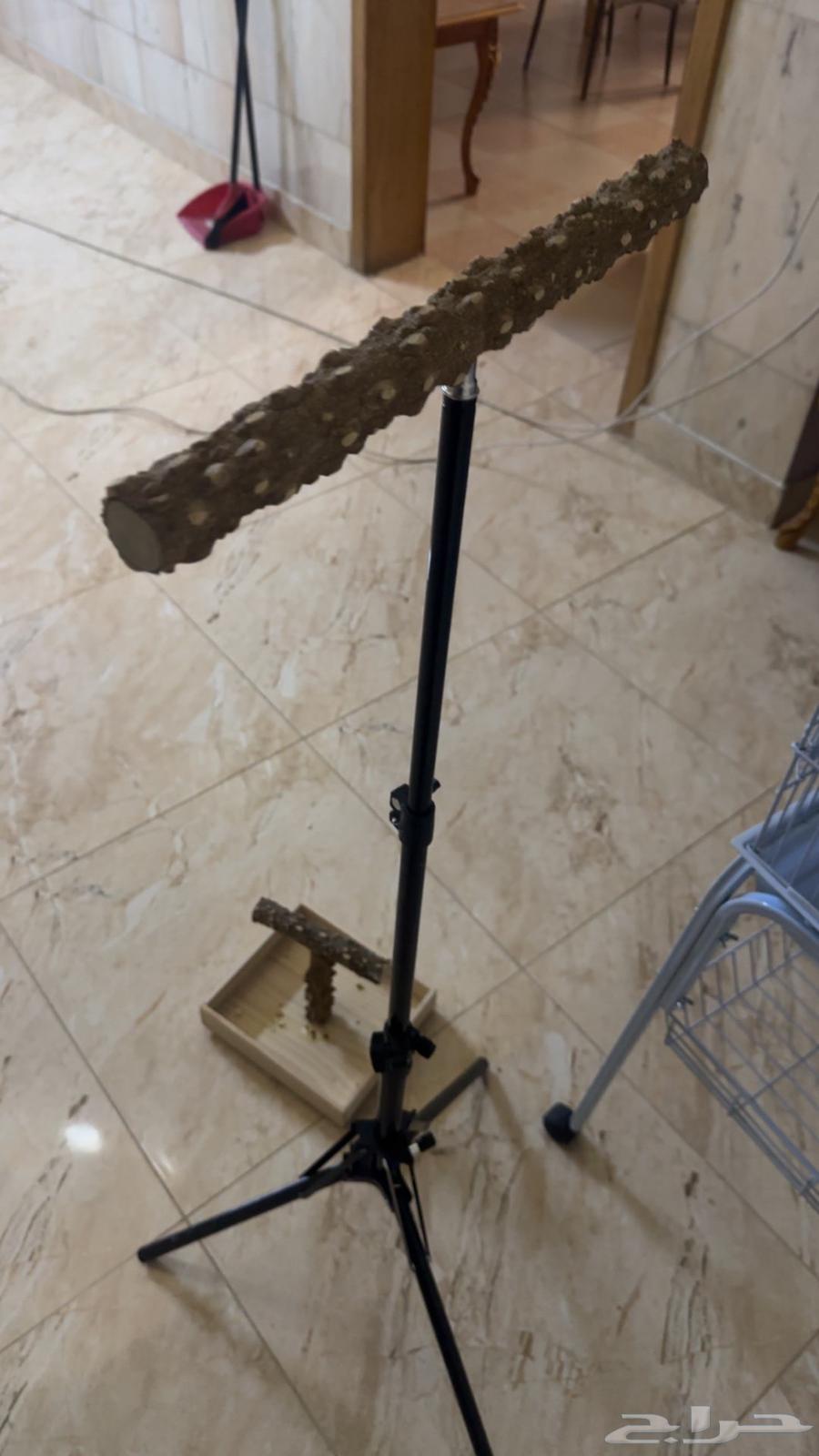 قفص كبير مع 2 مجثم63018404992771112
