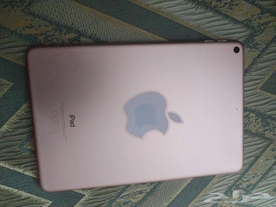 iPad mini 5th generation630184049235231122