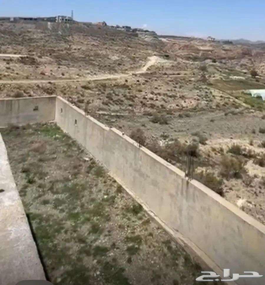 Land and farm for rent in Al-Mahallah630129577198111111