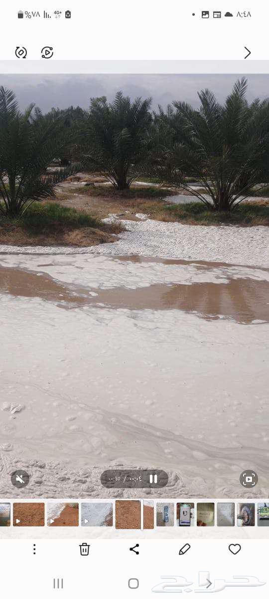 مزرعة للبيع