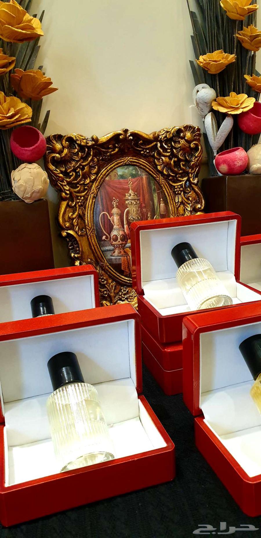 Men's and Women's Perfume Collection63016304065409113