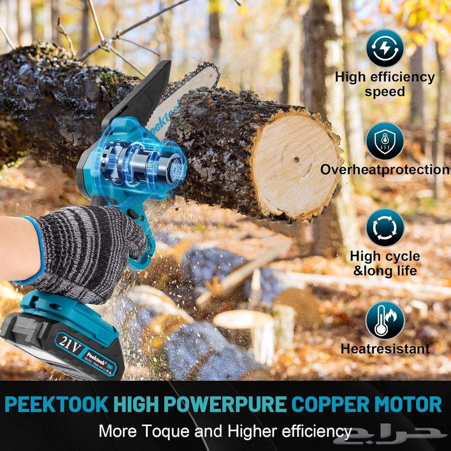 Cordless Chainsaw 6 Inch for Cutting Trees with Two Batteries63016716528003114