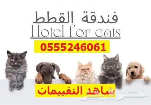 فندقة قطط وطيور 6061 24 0555 شاهد 40 تقييم63012739637122118