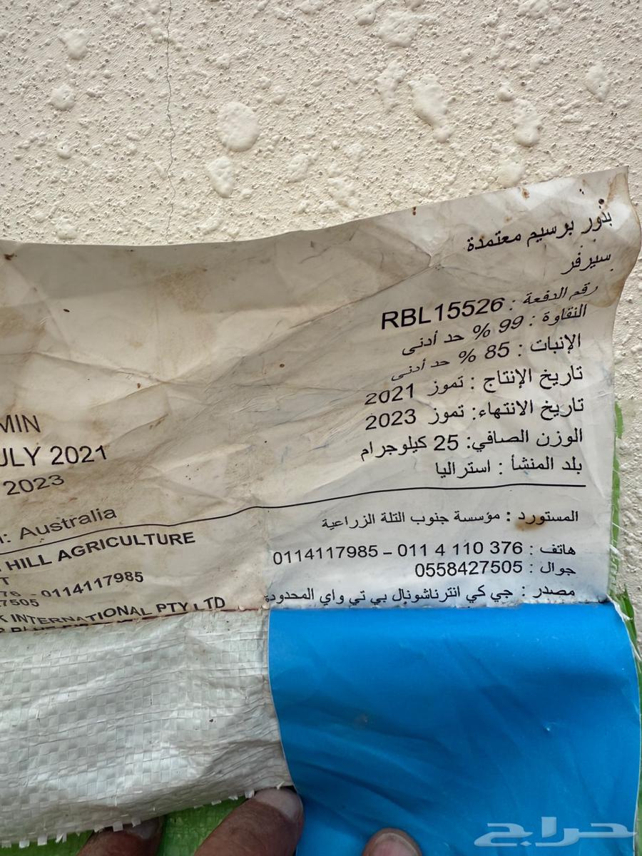 بذور برسيم استرالي630145191307541117