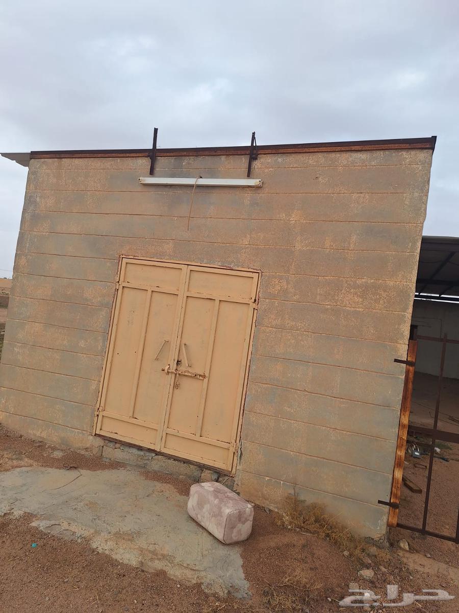 Commercial land for sale in Qassim, King Abdulaziz Al Bidaq Road63012959045761113