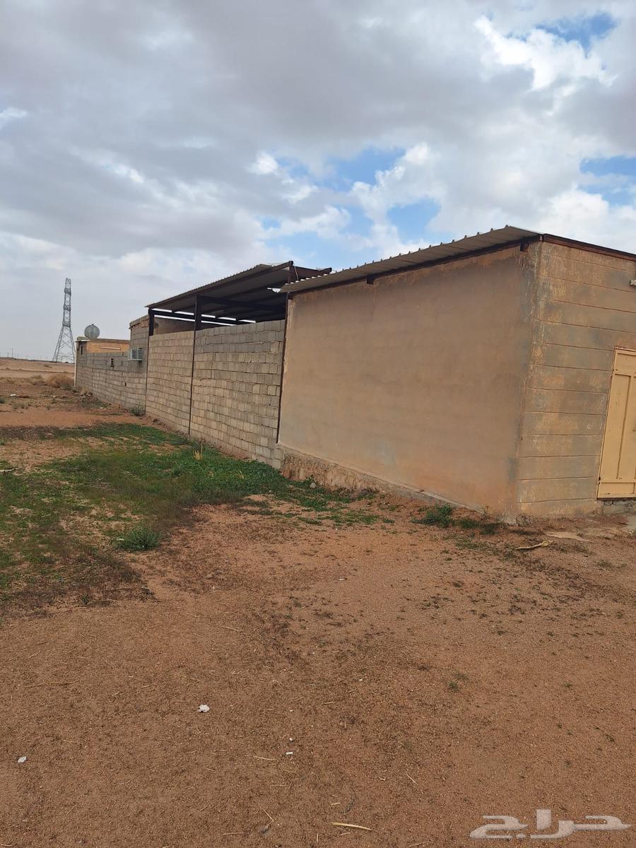 Commercial land for sale in Qassim, King Abdulaziz Al Bidaq Road63012959045761111