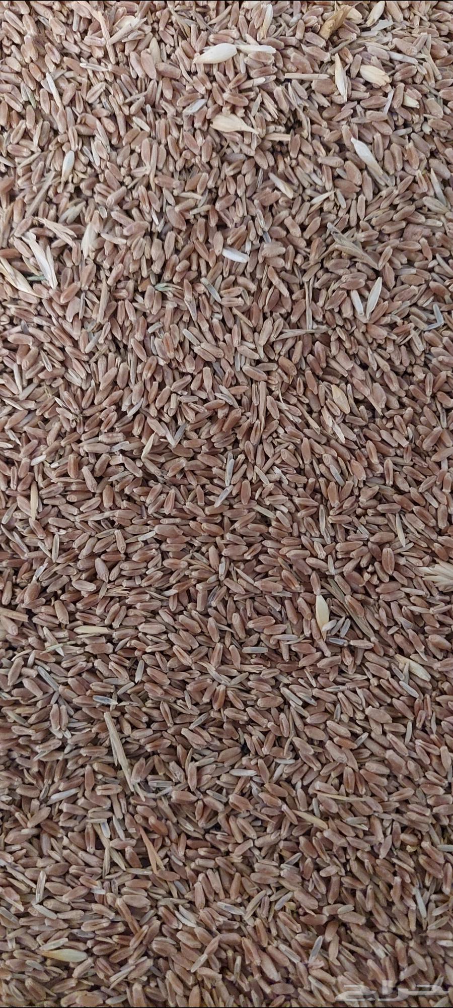 Wheat for sale63014021573507111