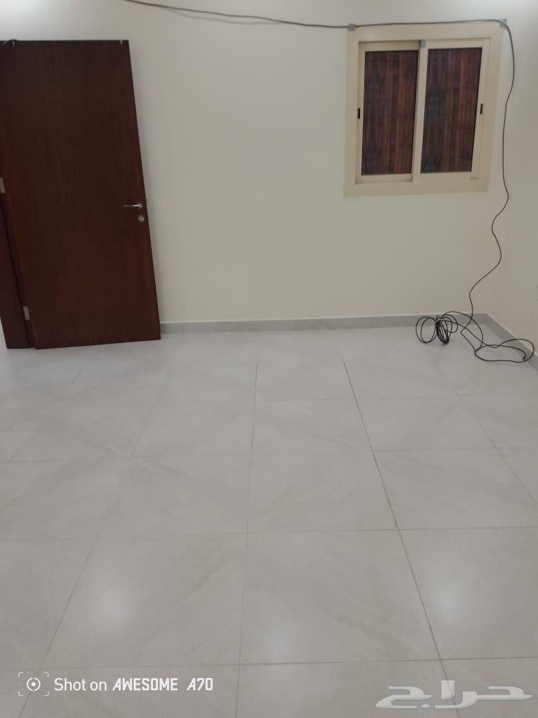 شقة للإيجار