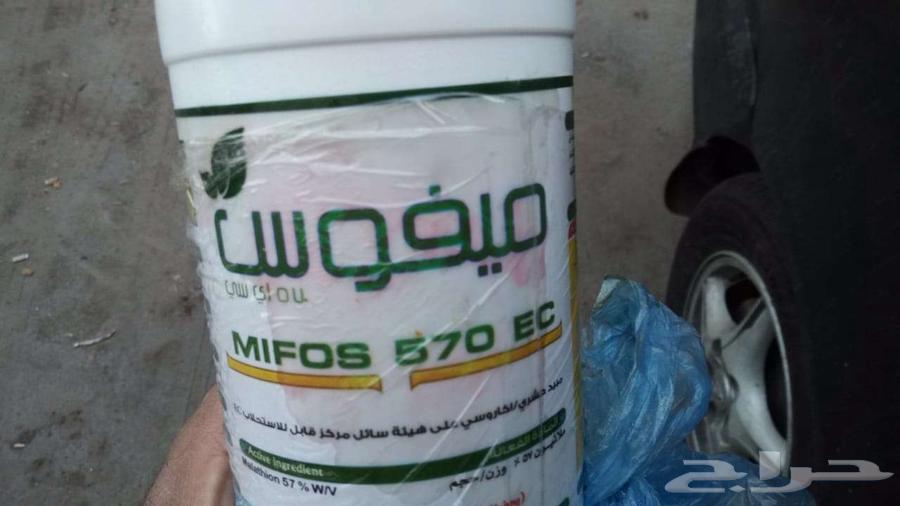 Pest Control Company for White and Black Ants, Bees, Cockroaches, Bed Bugs63617210830849112