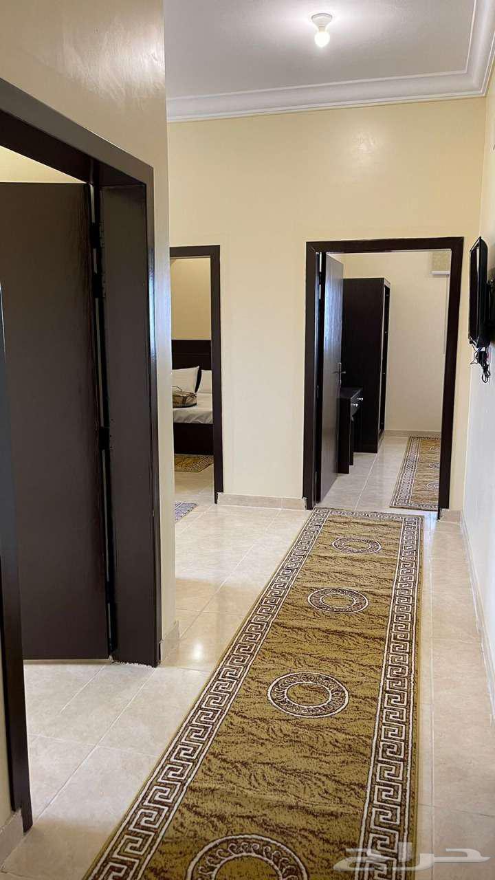 شقة للإيجار