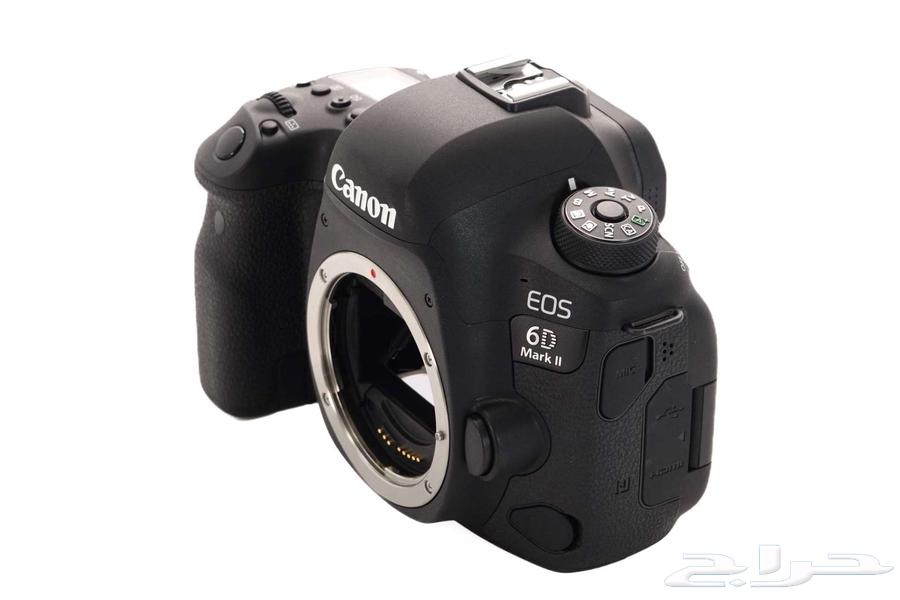 Two camera bodies, three lenses, and lighting equipment63421166199809111