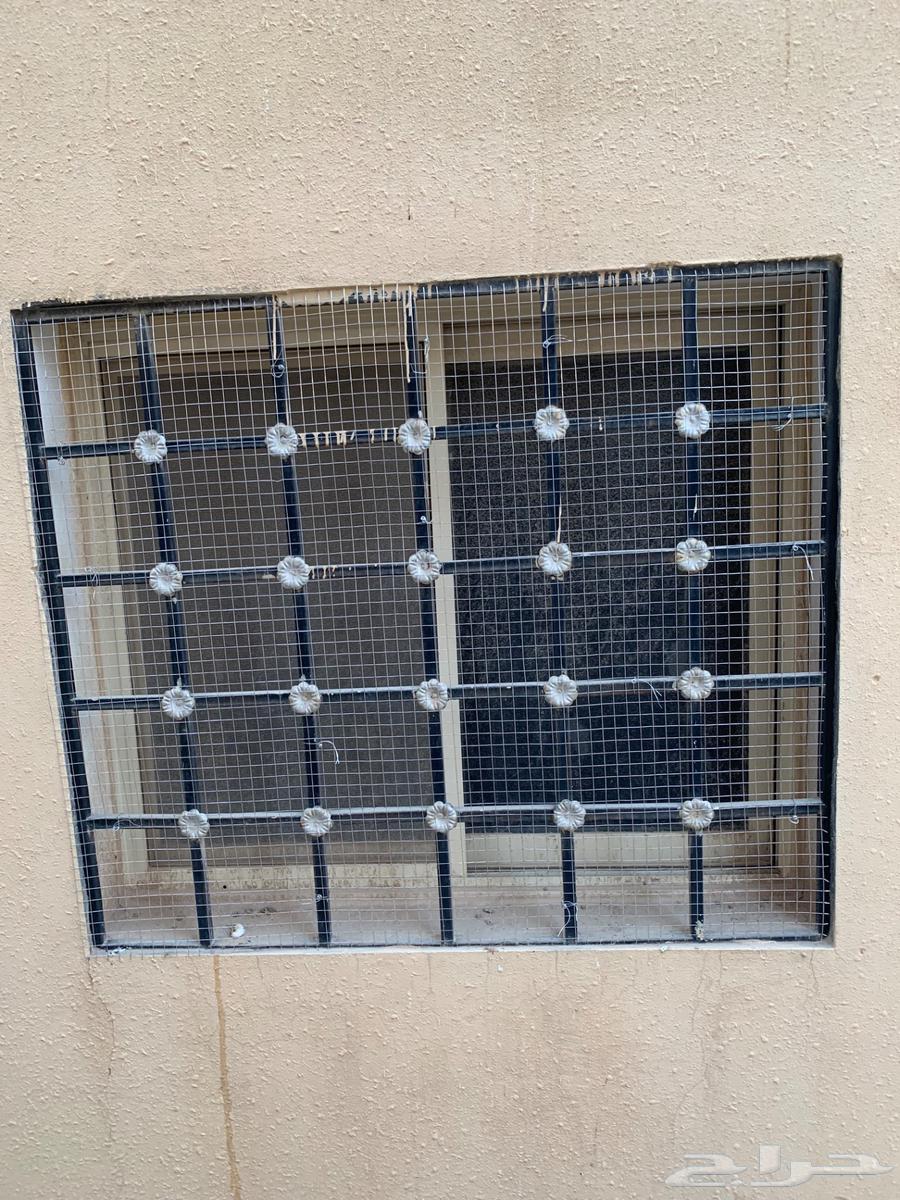 Pigeon repellent composition630331599508501110