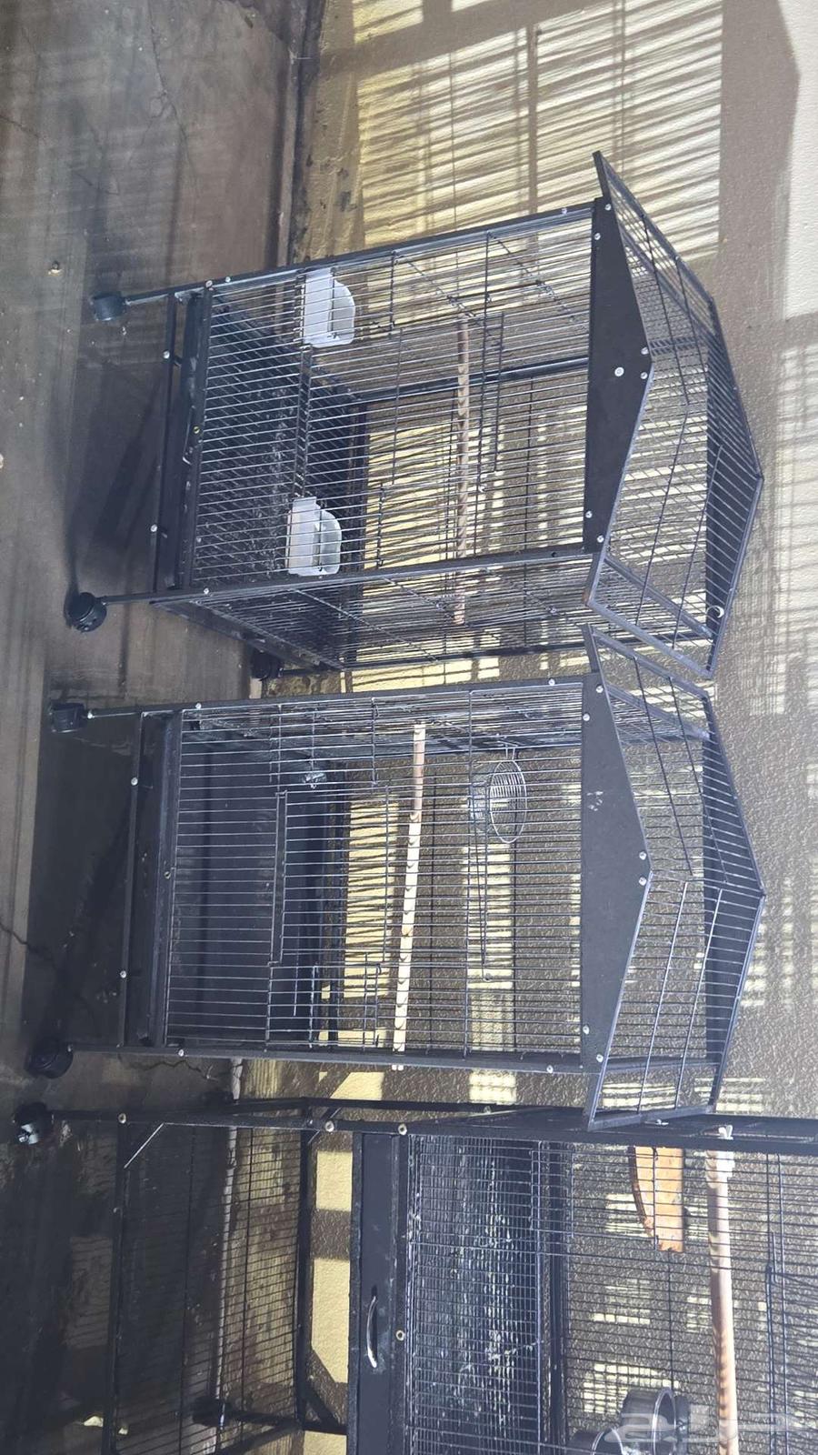 Network a parrot group network630344513143061115